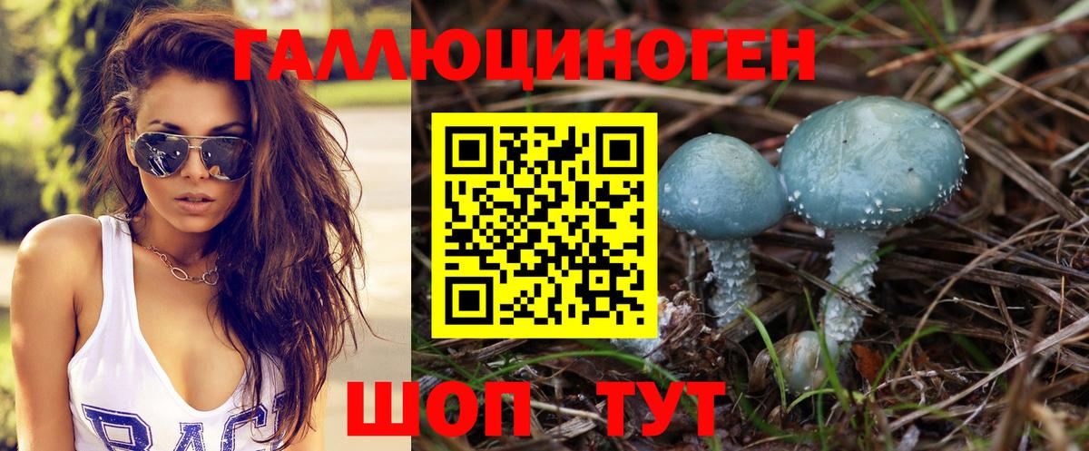 Галлюциногенные грибы GOLDEN TEACHER  Вход с VPN  Псилоцибиновые грибы Magic Shrooms  цена   Гусиноозёрск 