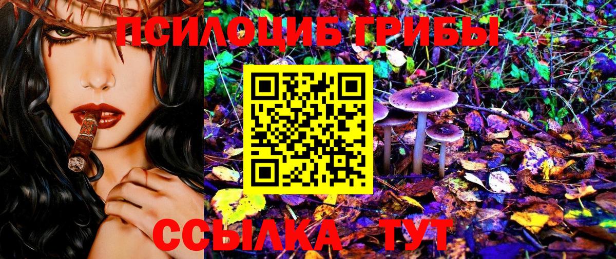 Галлюциногенные грибы ЛСД Гусиноозёрск
