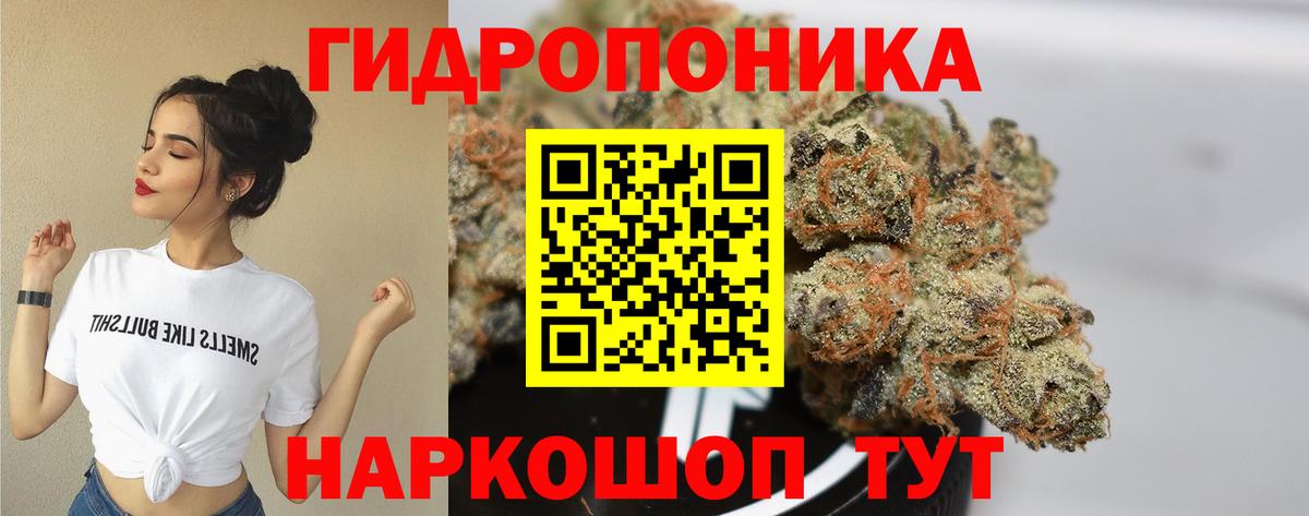 Бошки марихуана AK-47 Гусиноозёрск